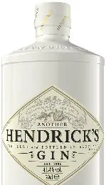 Hendrick's Another Gin 750