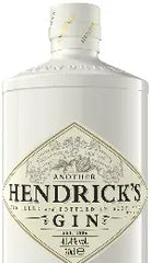 Hendrick's Another Gin 750