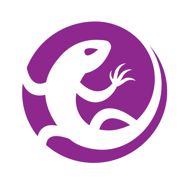 Purple Lizard Zero Sugar Loganberry Vodka 4pk 355ml