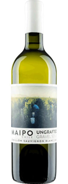 Ungrafted Semillon-Sauvignon Blanc Main Valley 2022 750ml