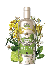 Coppa Mojito RTD 750ml